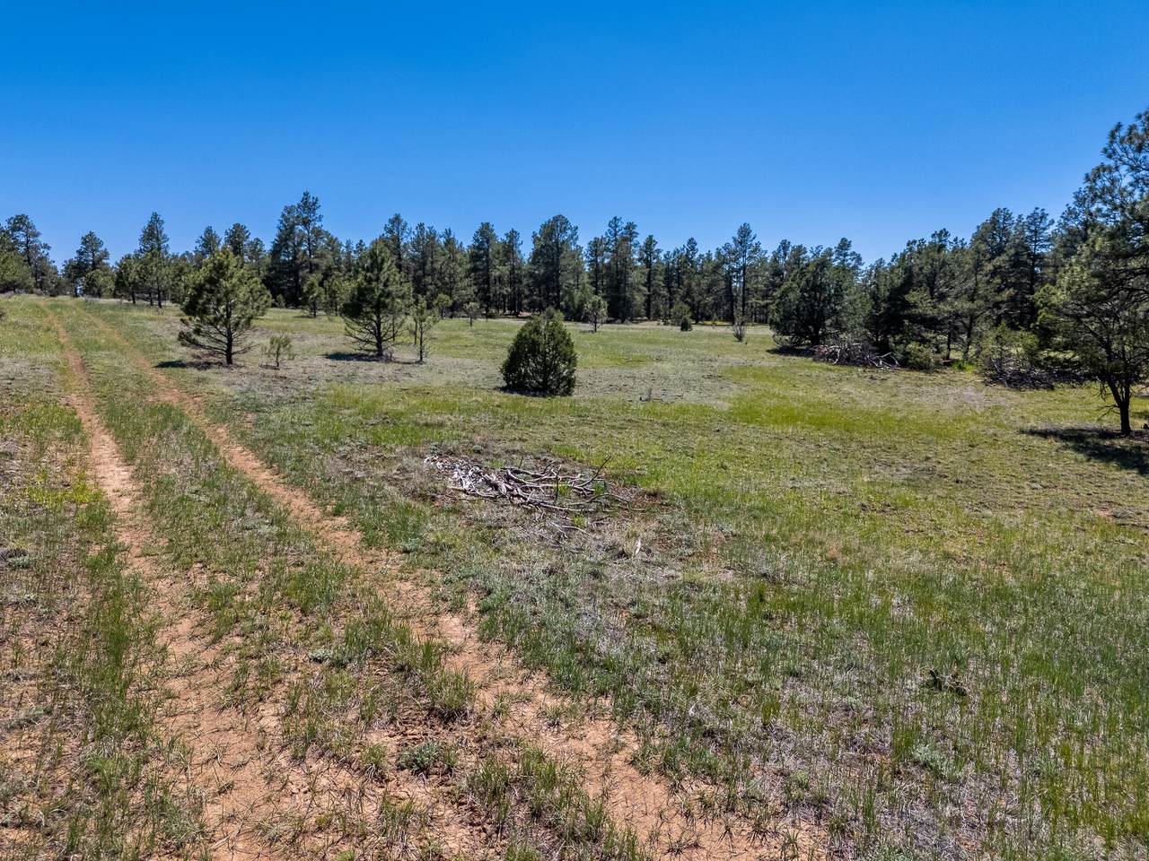 13583 Meadow Lark Drive - Photo 1