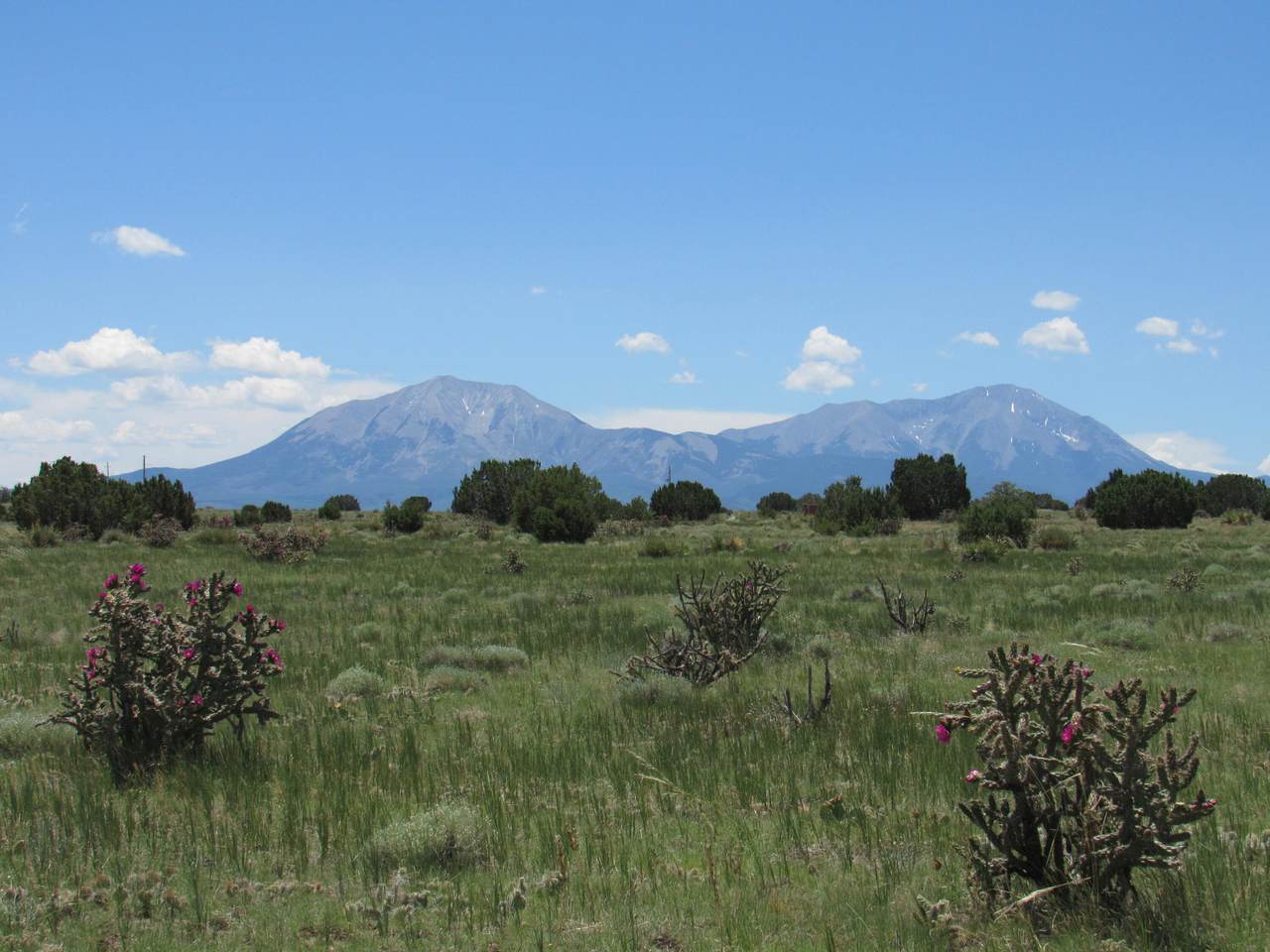 Huajatolla Blvd - Photo 1
