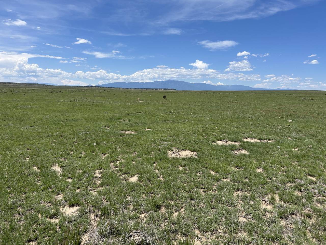 Lot 123e Turkey Ridge Ranch Filing 3 - Photo 1