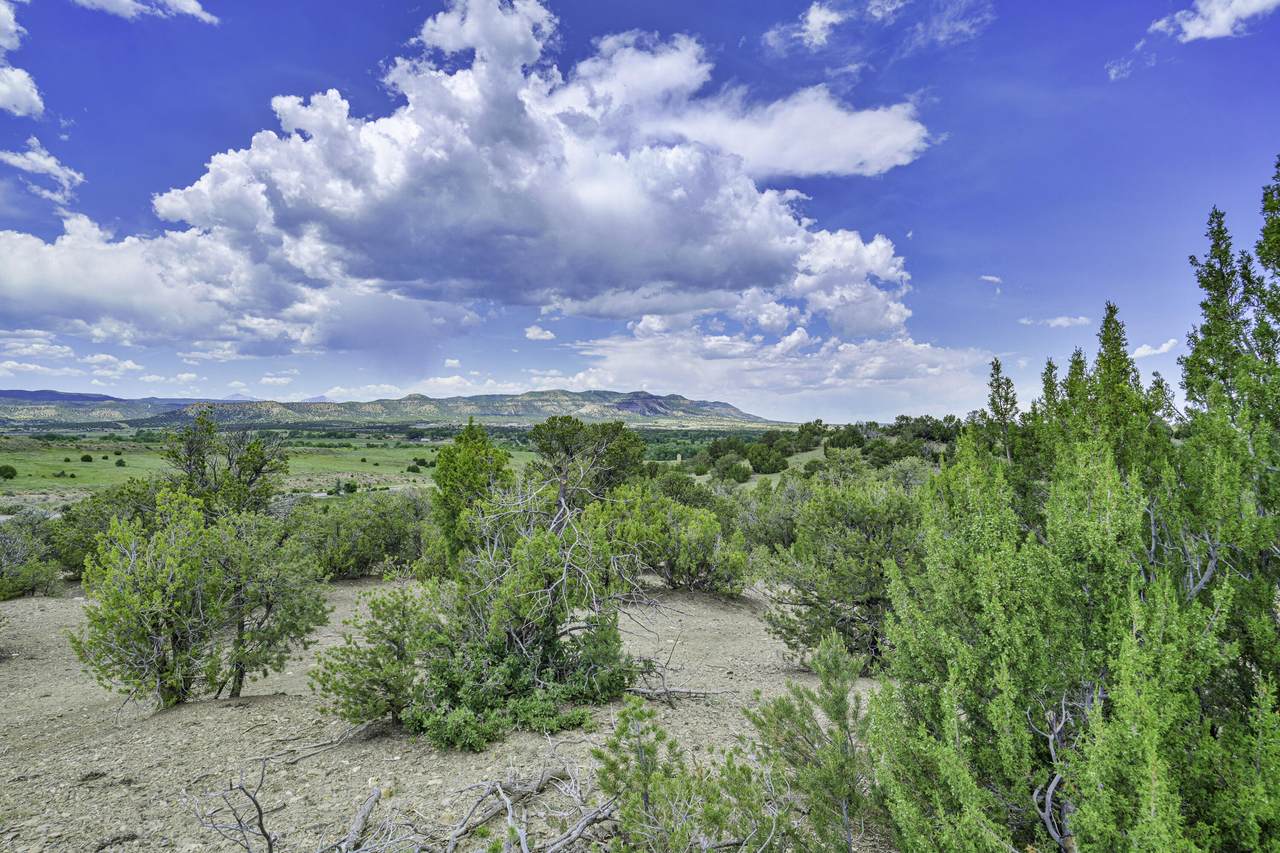 TBD Stone Ridge Phase 11 - Photo 1