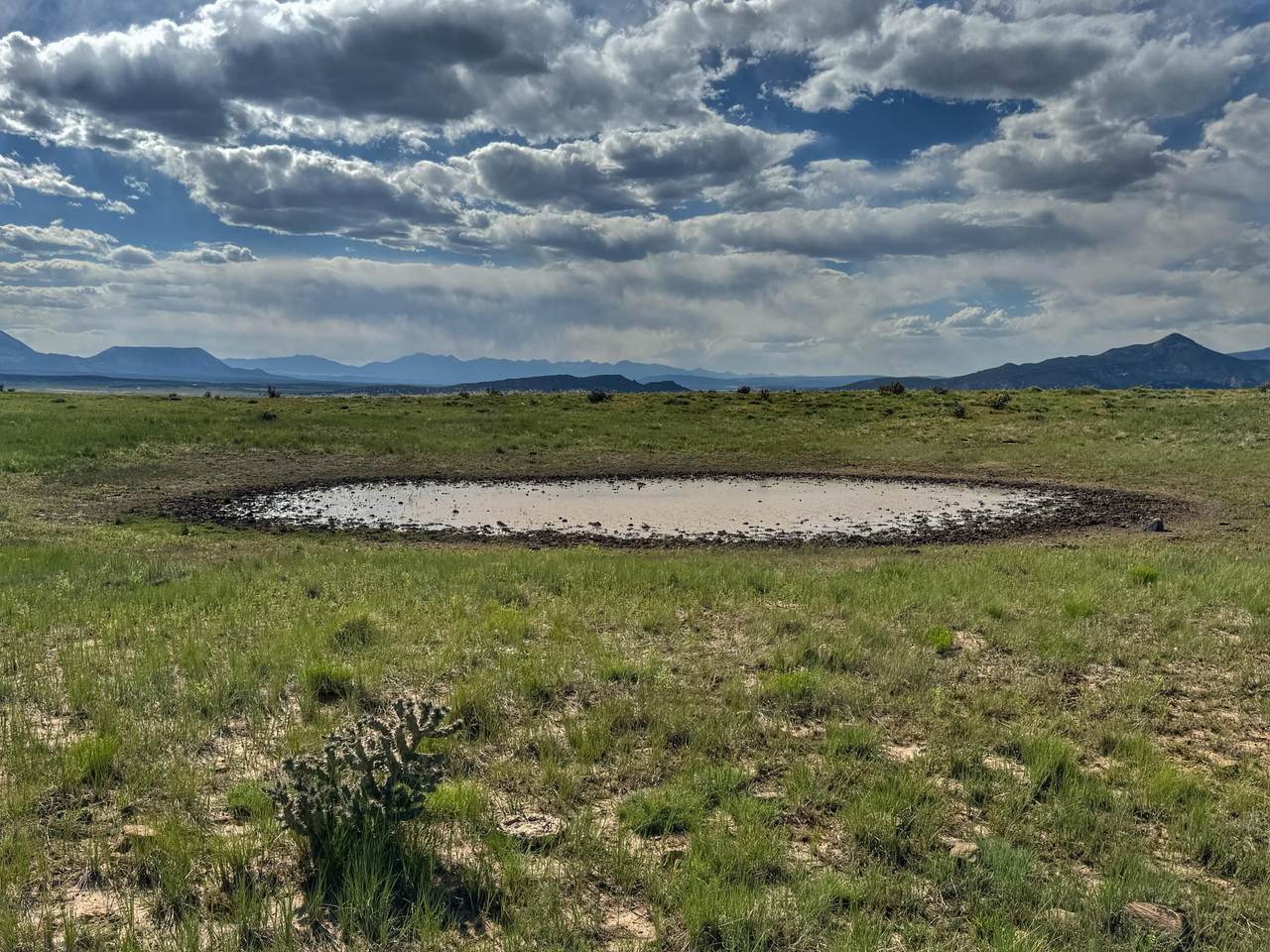 19 Majors Ranch - Photo 1