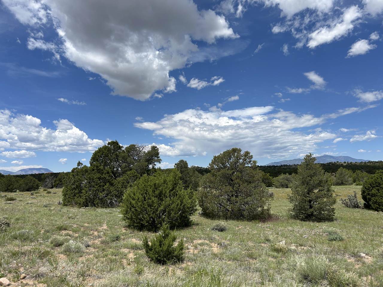 Lot 809 Rio Cucharas Phs 3 - Photo 1