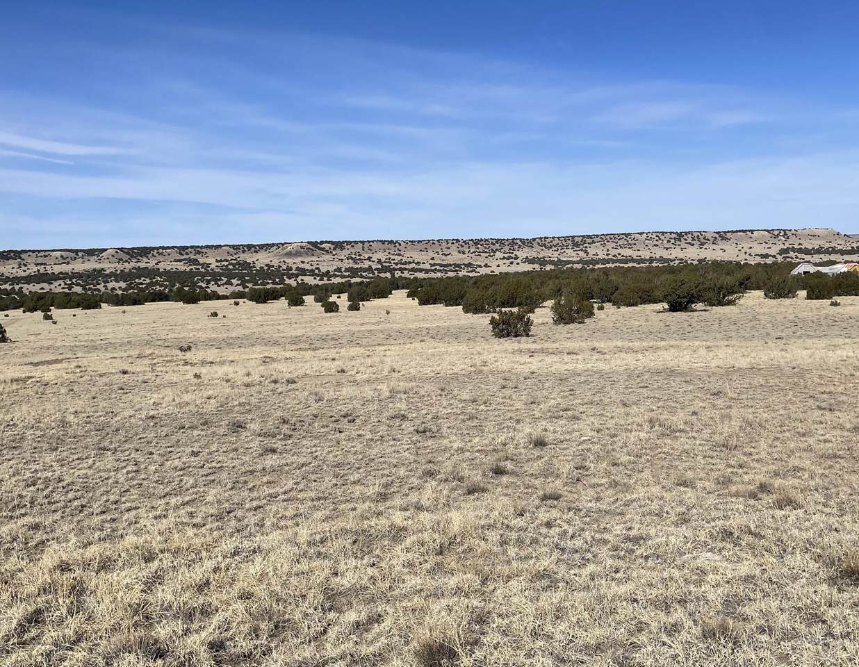 TBD Bear Springs Rd - Photo 1