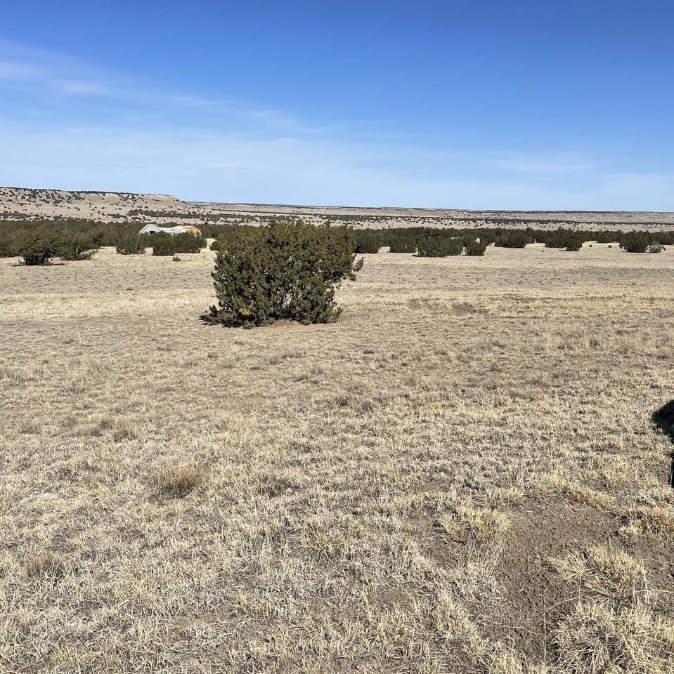 https://bt-photos.global.ssl.fastly.net/spanishpeaks/1280_boomver_1_25-674-2.jpg