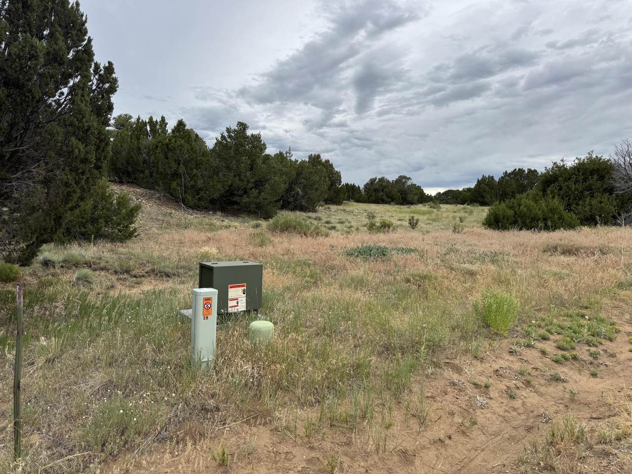 L29 B1 Black Diamond Drive - Photo 1