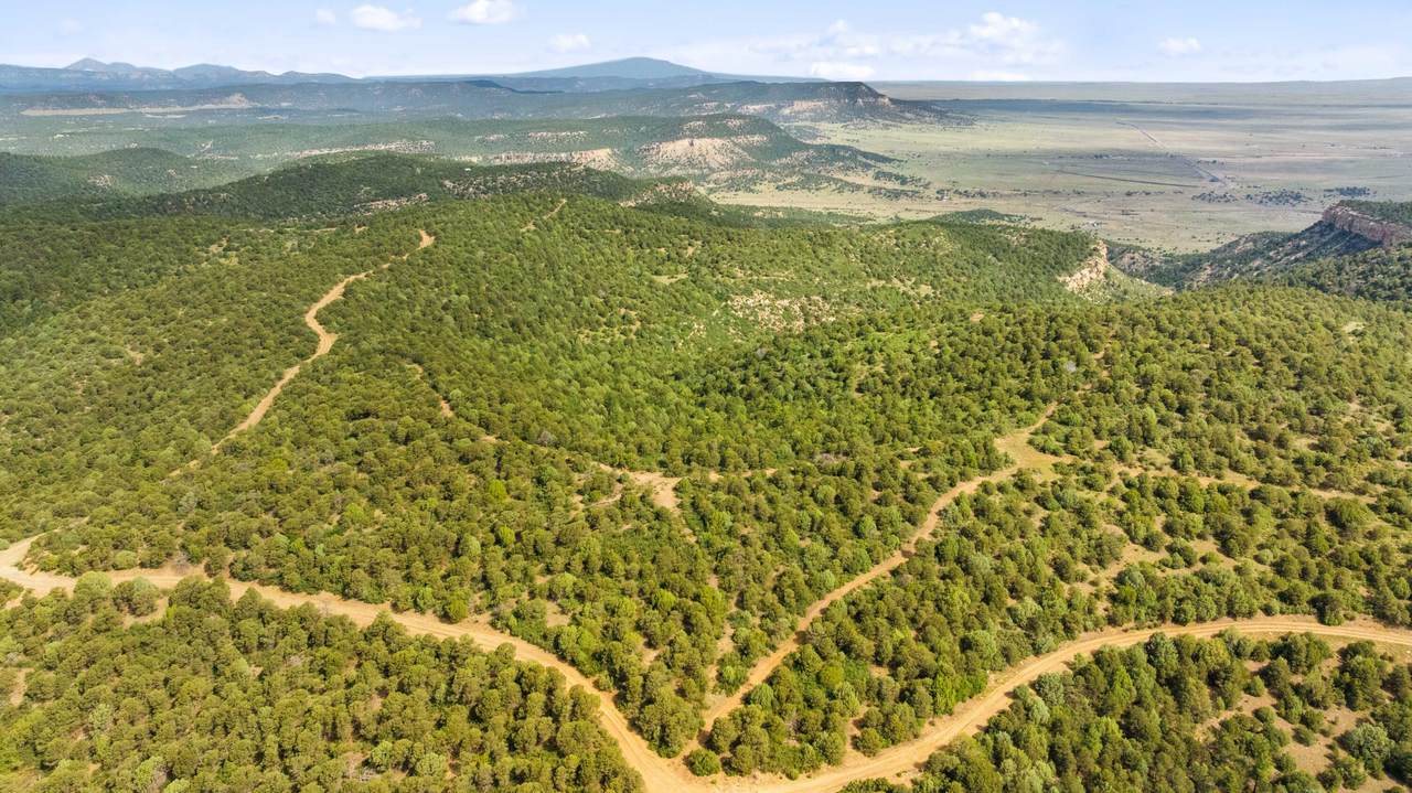 TBD Tollerburg Rd - Photo 1