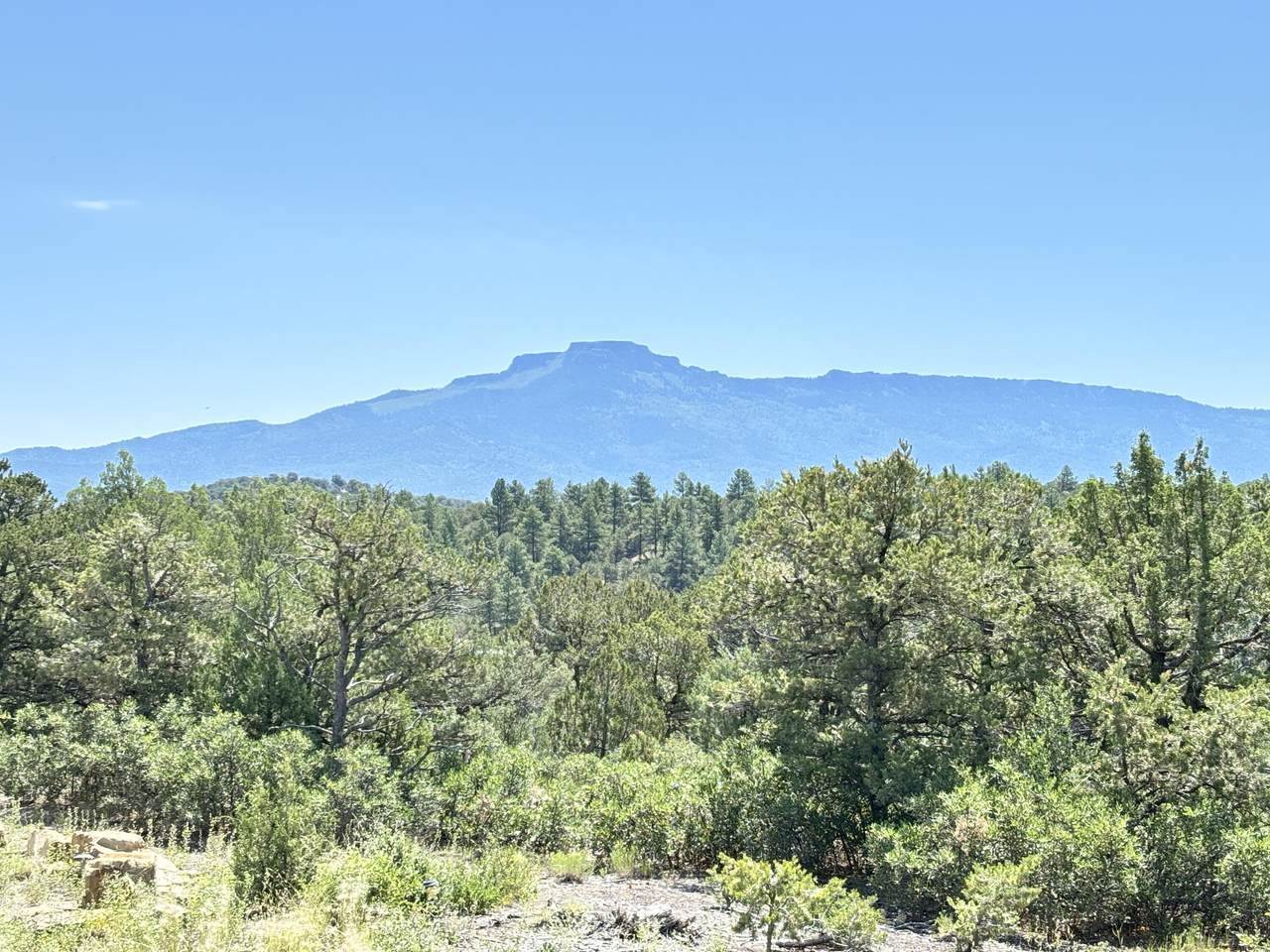 8420 La Belle Trail - Photo 1