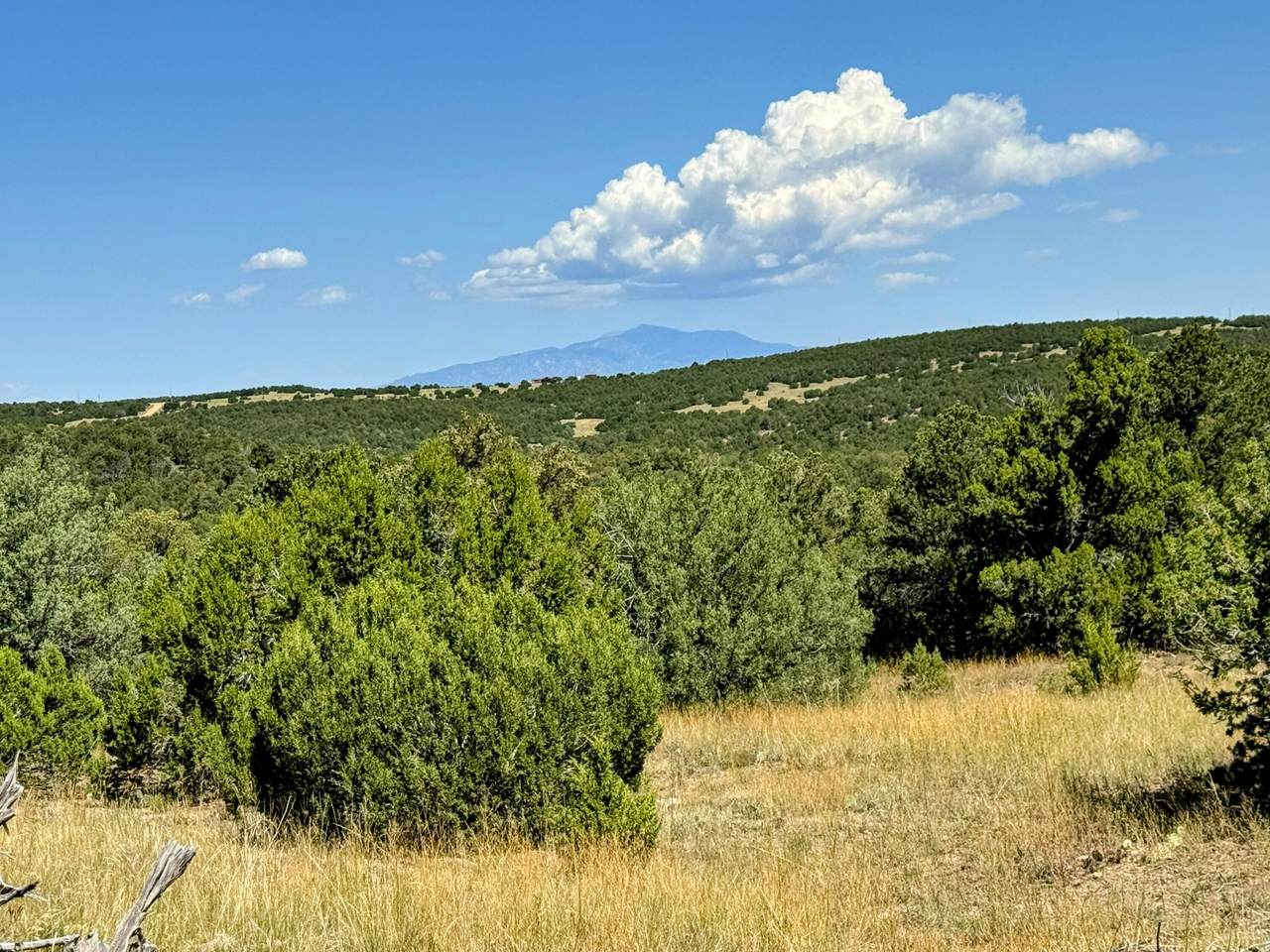 TBD Silver Spurs Ranch #5 - Photo 1