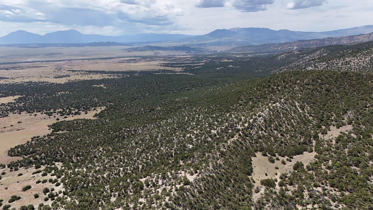 TBD County Road 616 - Photo 1