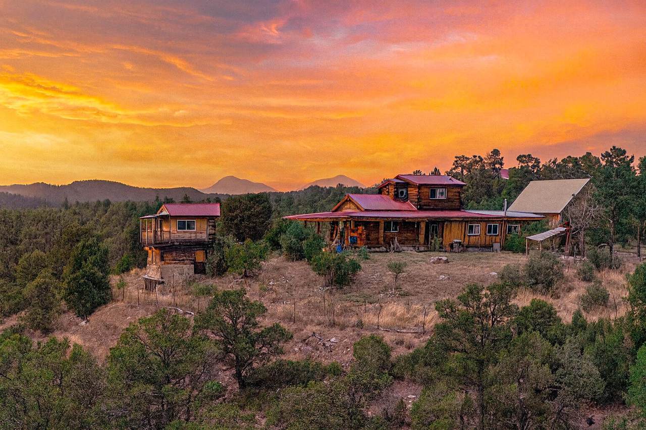 31300 Timber Canyon Rd - Photo 1