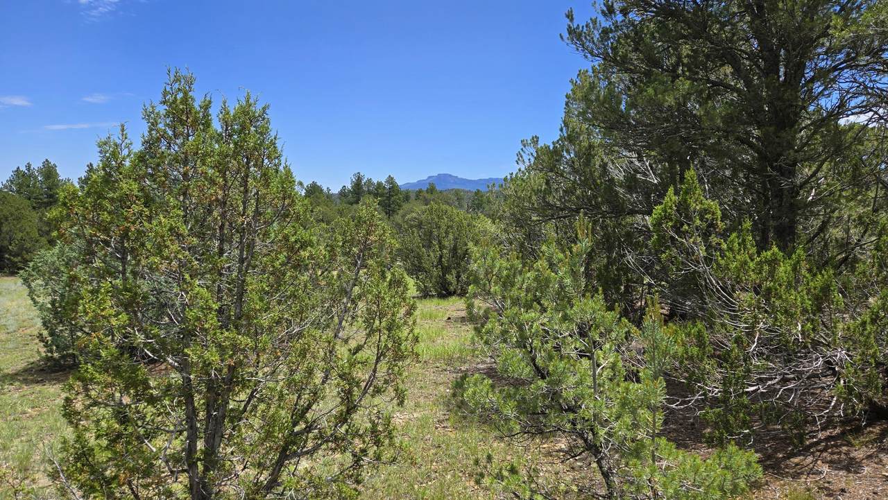 20 Colorado Mountain Lake Estates - Photo 1