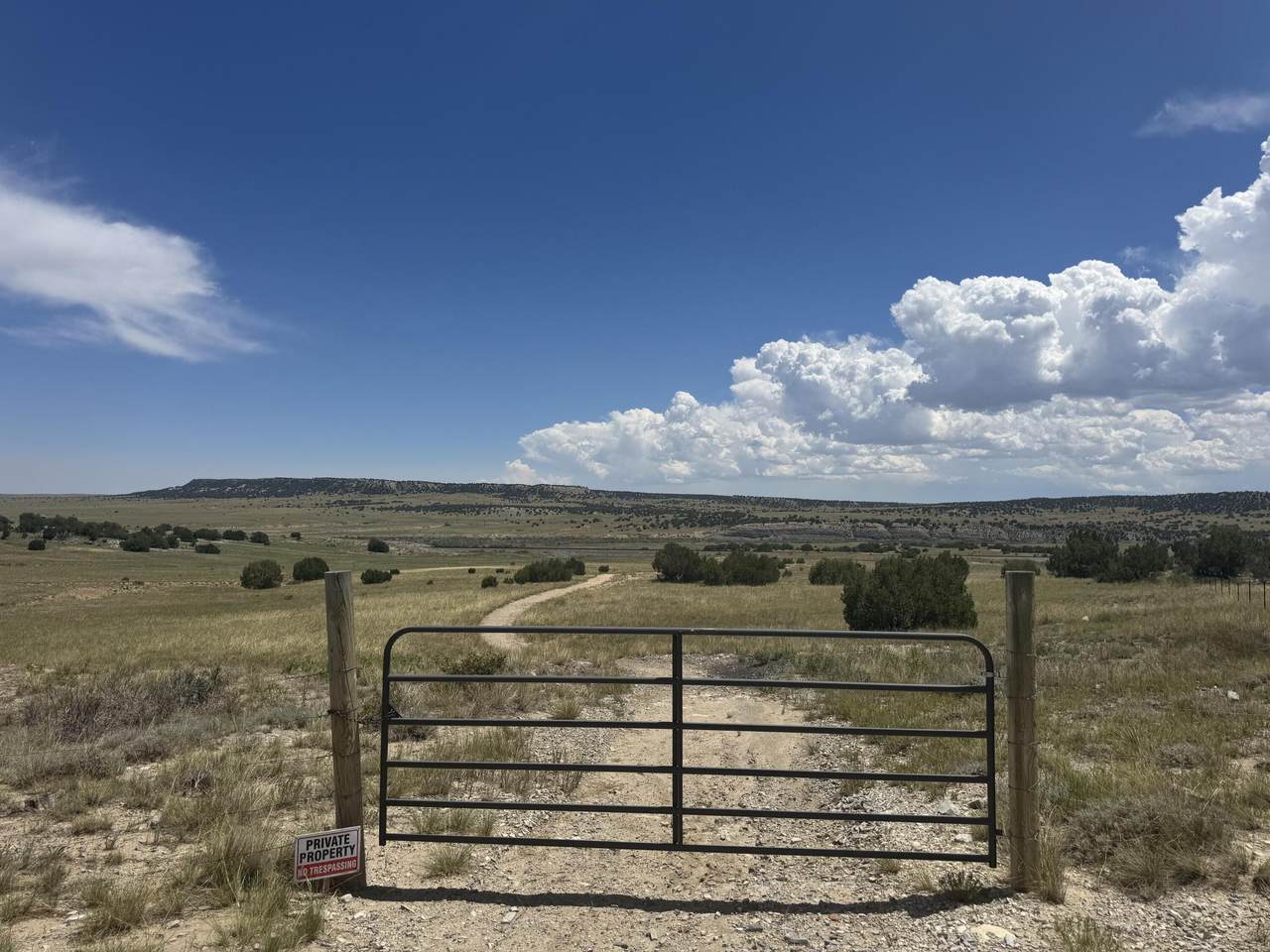 L40 Morning Star Rd - Photo 1