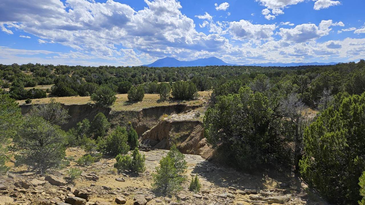 776 Rio Cucharas - Photo 1