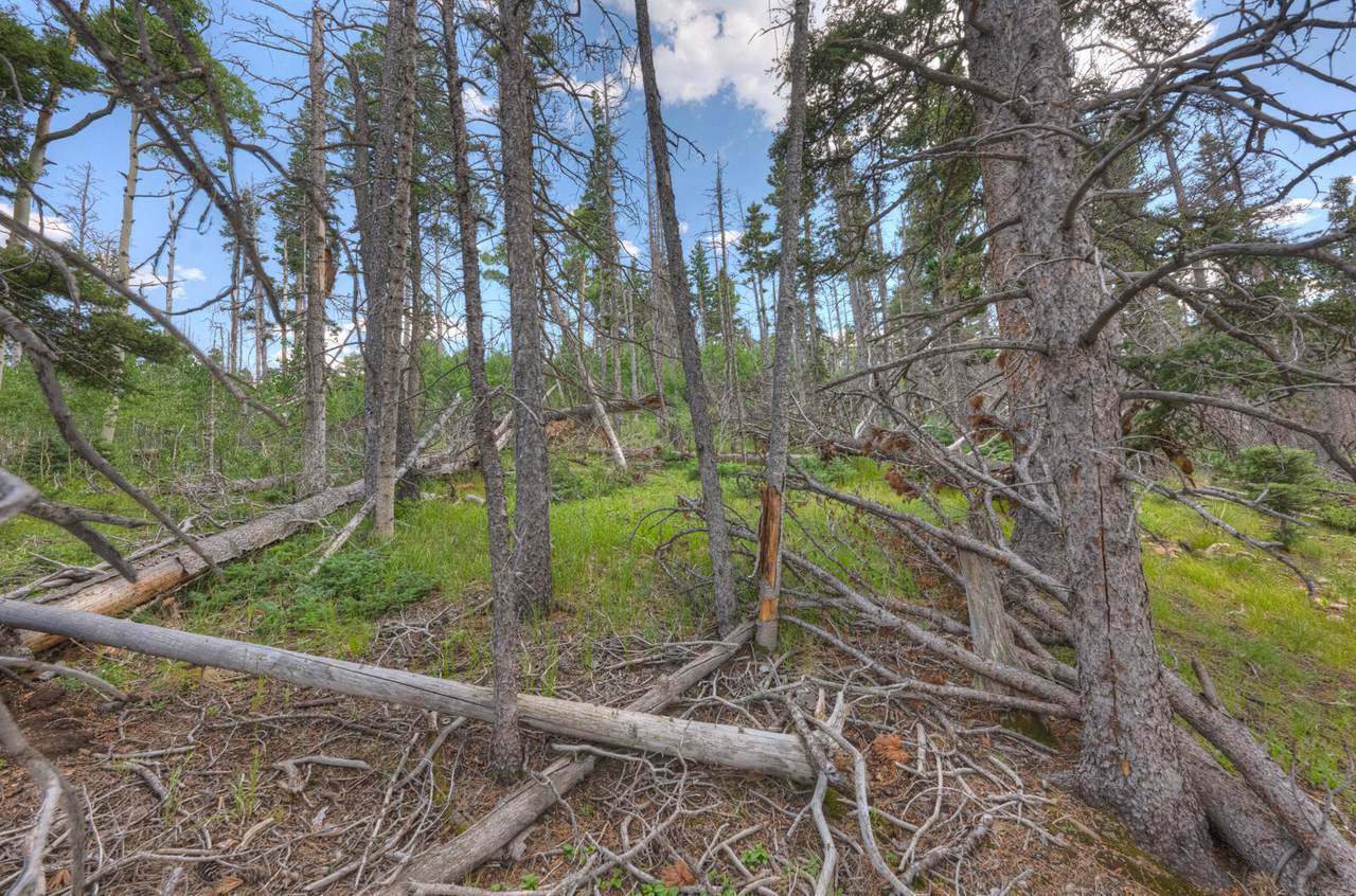 https://bt-photos.global.ssl.fastly.net/spanishpeaks/1280_boomver_1_25-951-2.jpg