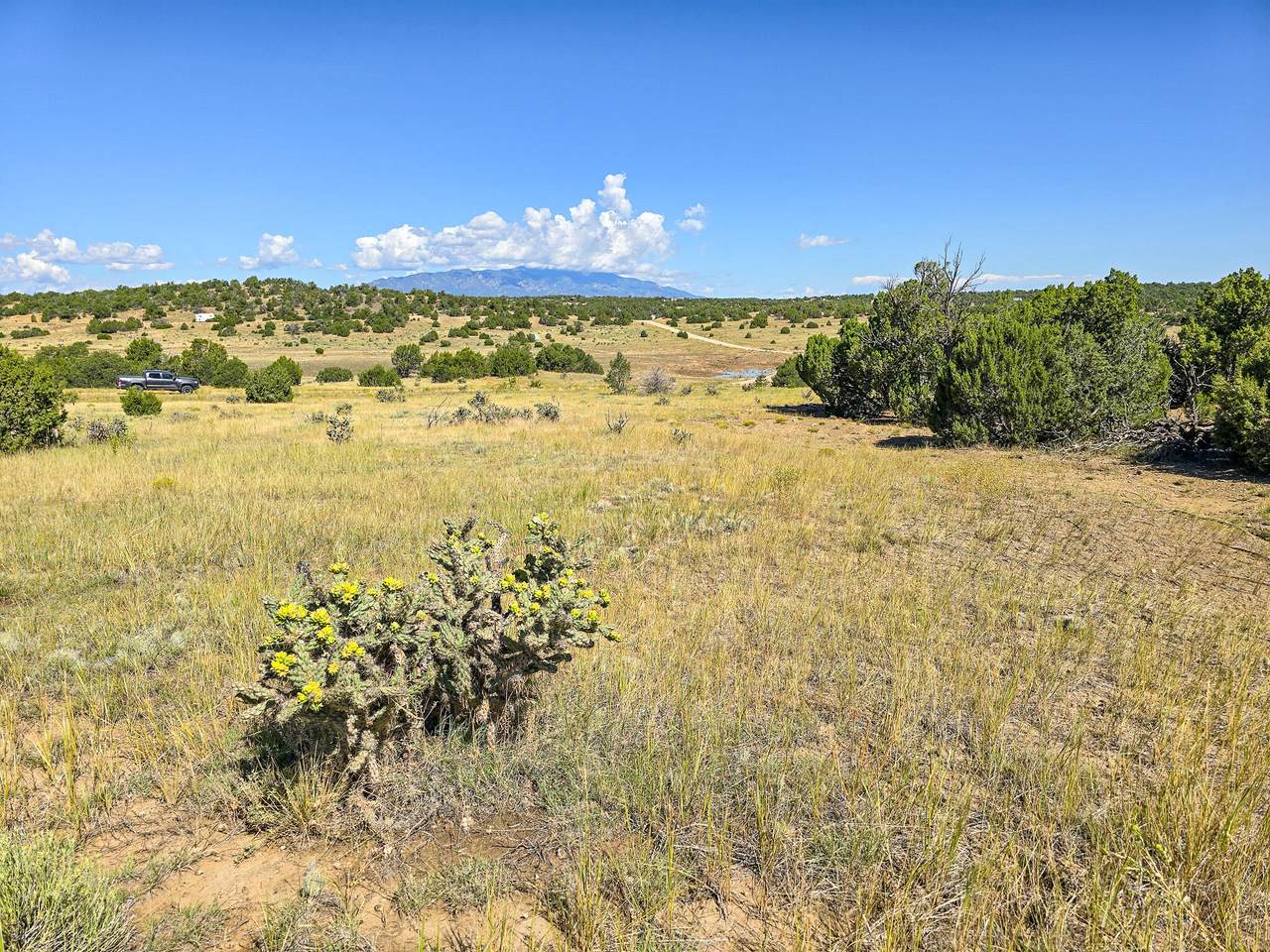 TBD La Deora Blvd - Photo 1