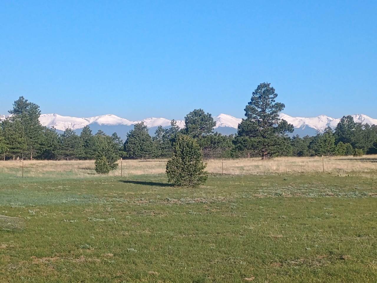 16758 Pine Ridge Drive - Photo 1