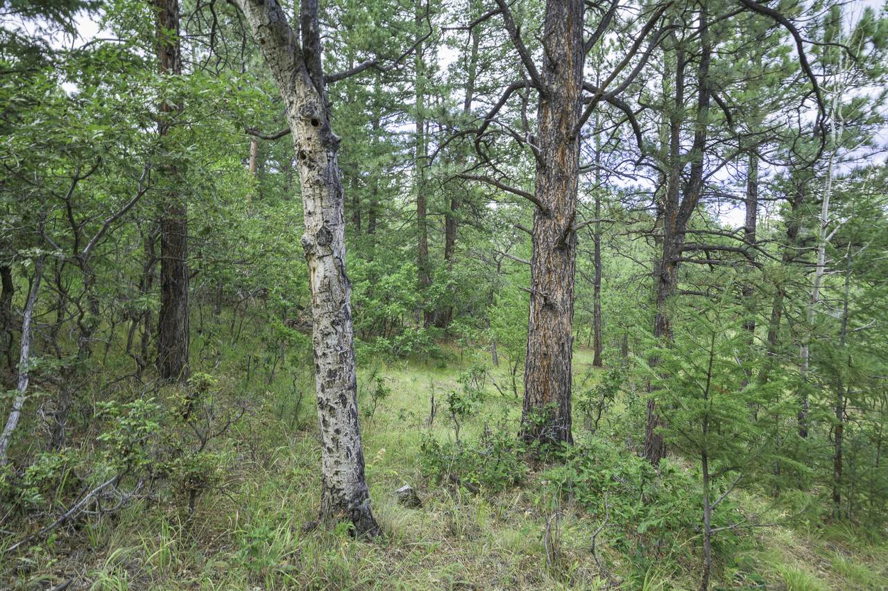 https://bt-photos.global.ssl.fastly.net/spanishpeaks/1280_boomver_1_25-989-2.jpg