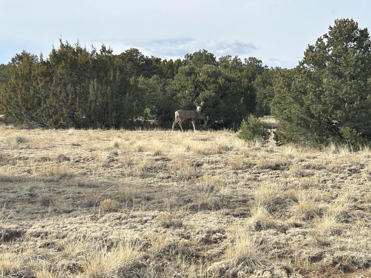 https://bt-photos.global.ssl.fastly.net/spanishpeaks/1280_boomver_1_26-102-2.jpg