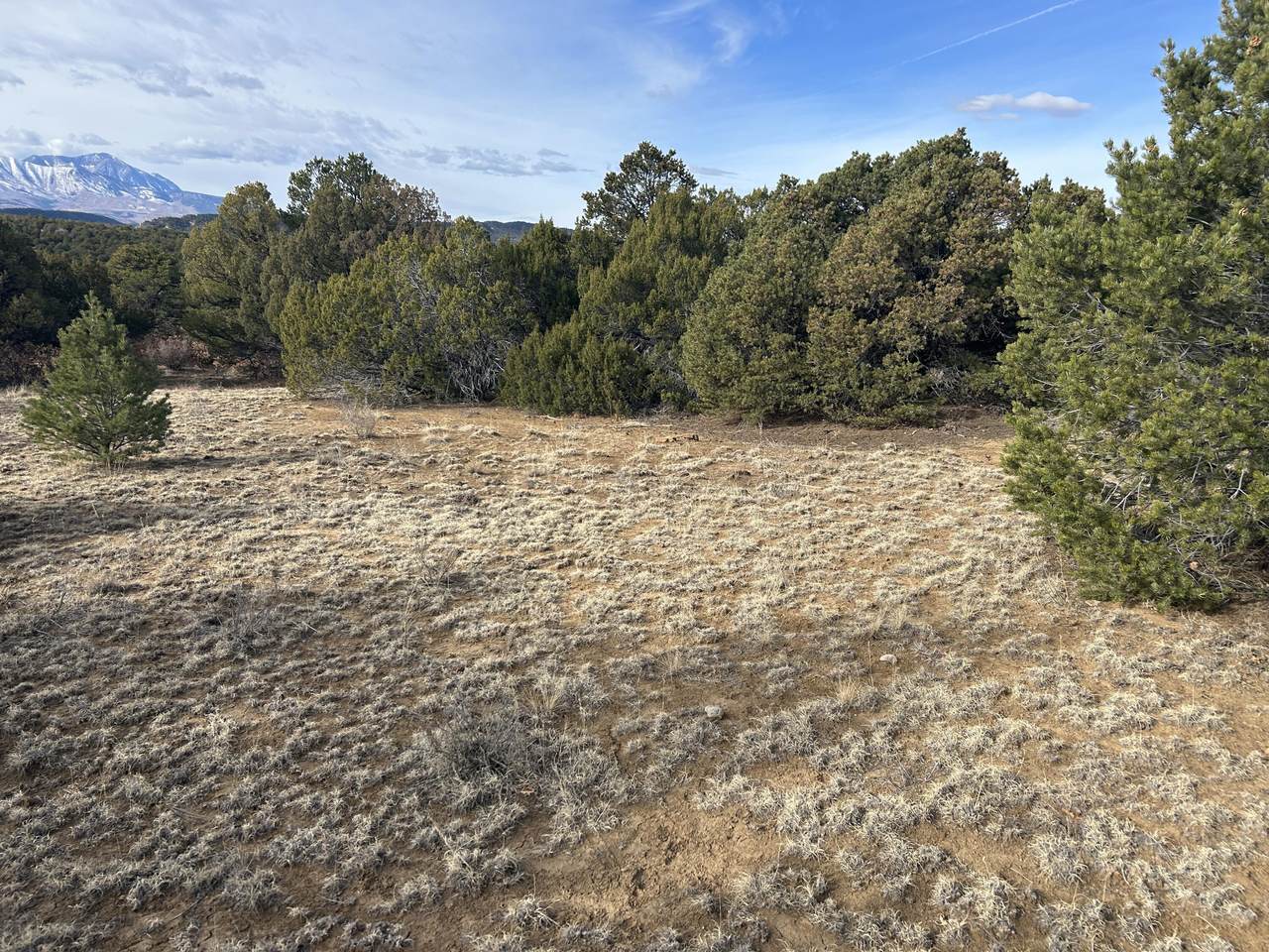 https://bt-photos.global.ssl.fastly.net/spanishpeaks/1280_boomver_1_26-102-2.jpg