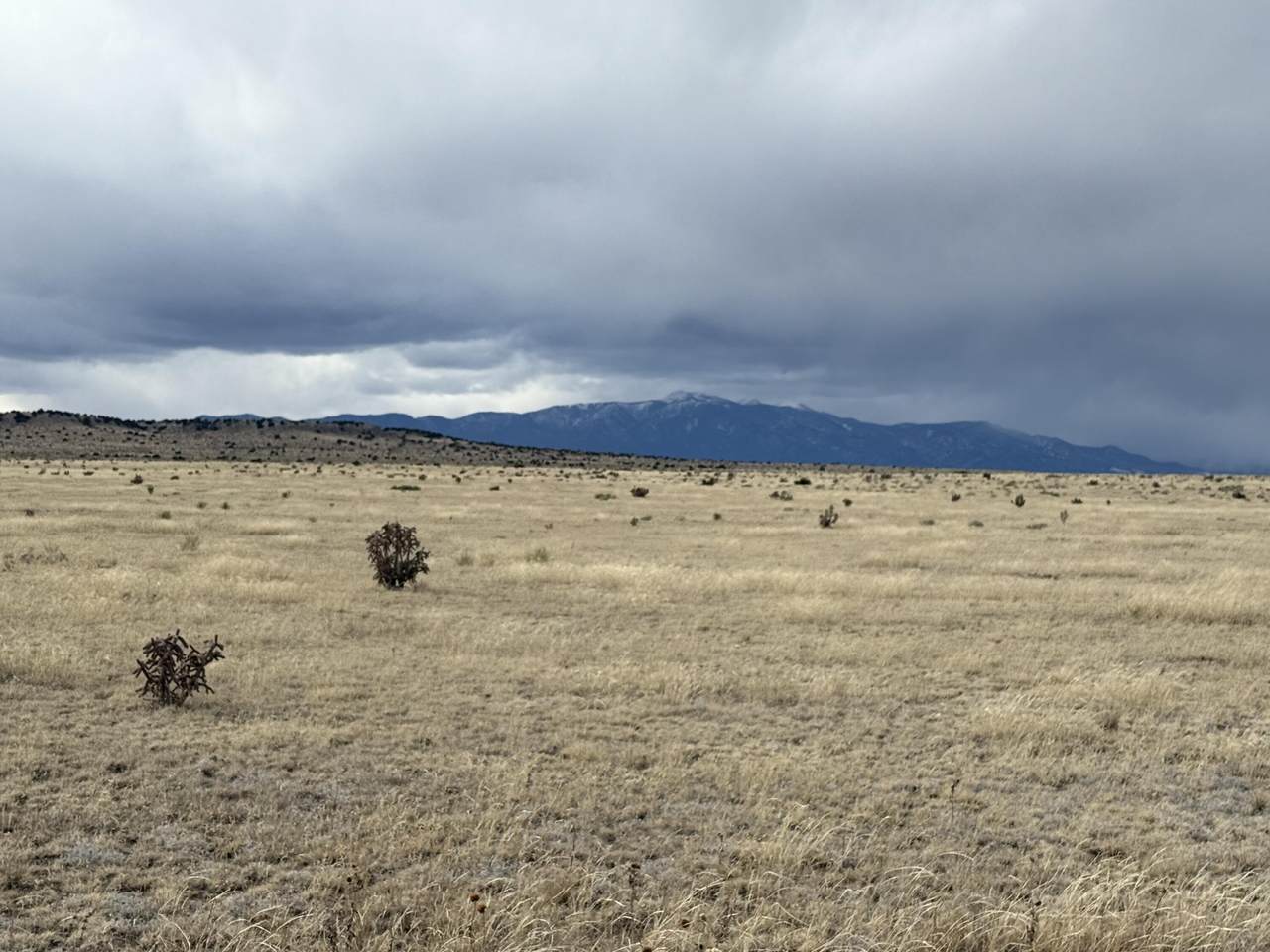 157&191 Turkey Ridge Ranch - Photo 1