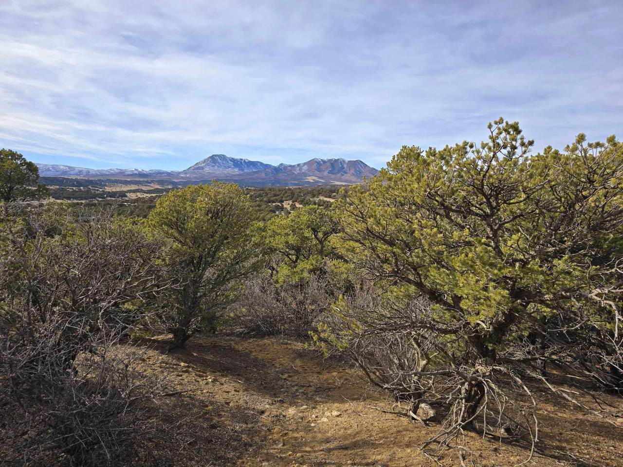 34 Navajo Ranch Resorts - Photo 1