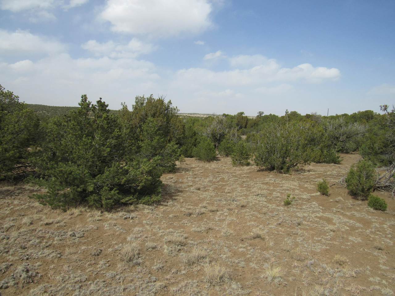 Lot 908 Los Vaqueros Circle - Photo 1