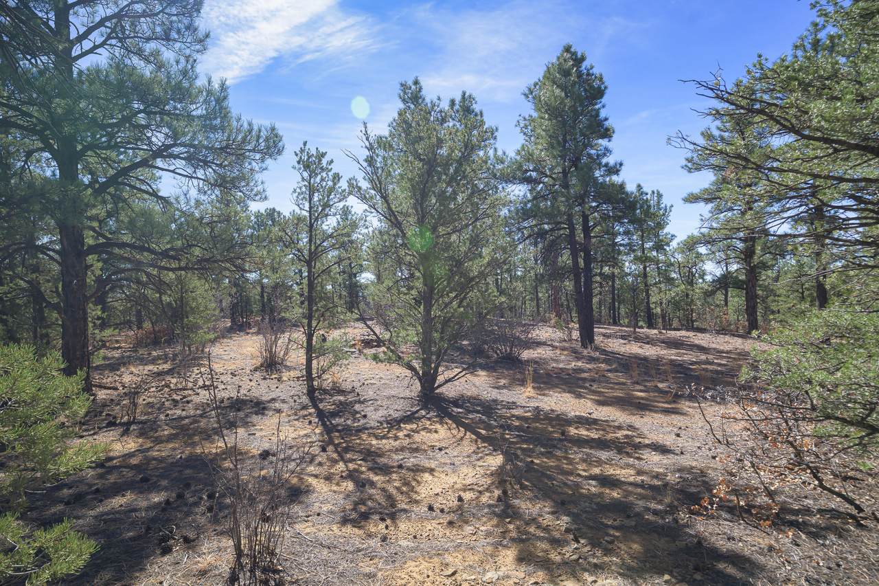 https://bt-photos.global.ssl.fastly.net/spanishpeaks/1280_boomver_1_26-140-2.jpg