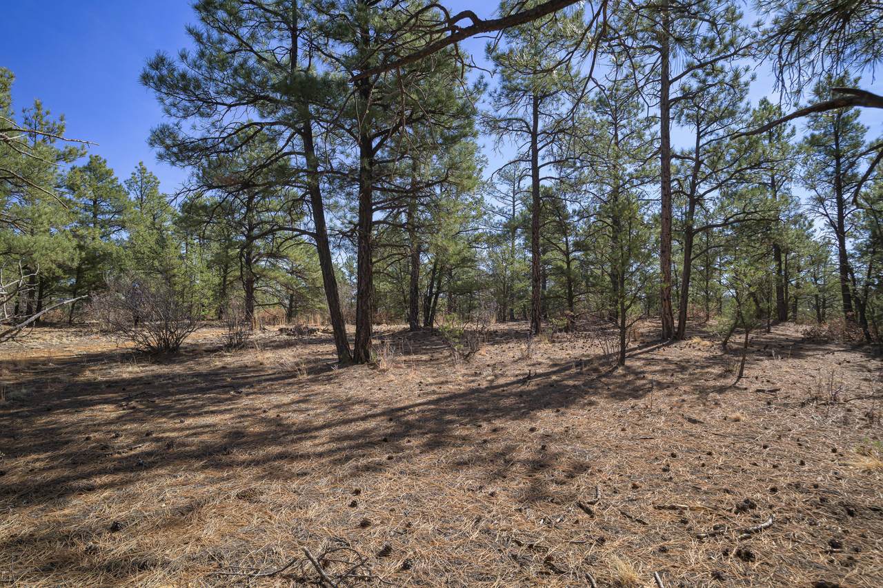 https://bt-photos.global.ssl.fastly.net/spanishpeaks/1280_boomver_1_26-140-2.jpg