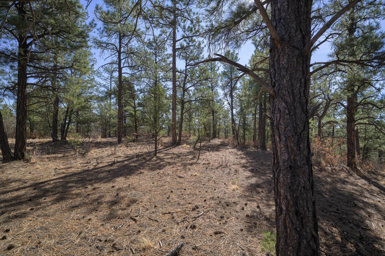 https://bt-photos.global.ssl.fastly.net/spanishpeaks/1280_boomver_1_26-140-2.jpg