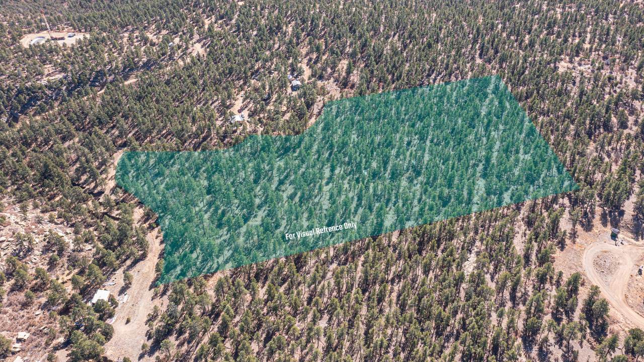 17990 King Rd - Photo 1