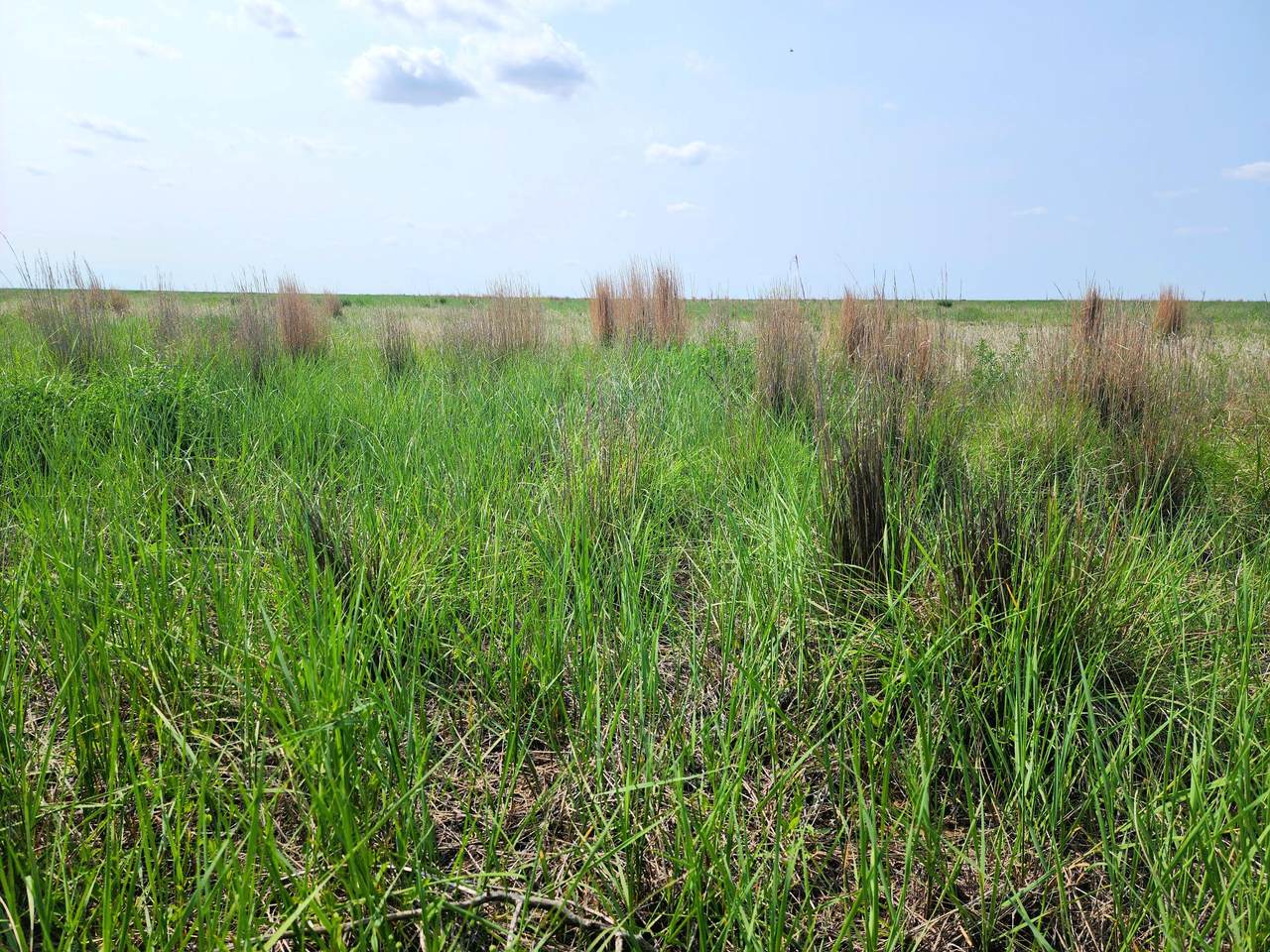 TBD County Road 37 - Photo 1