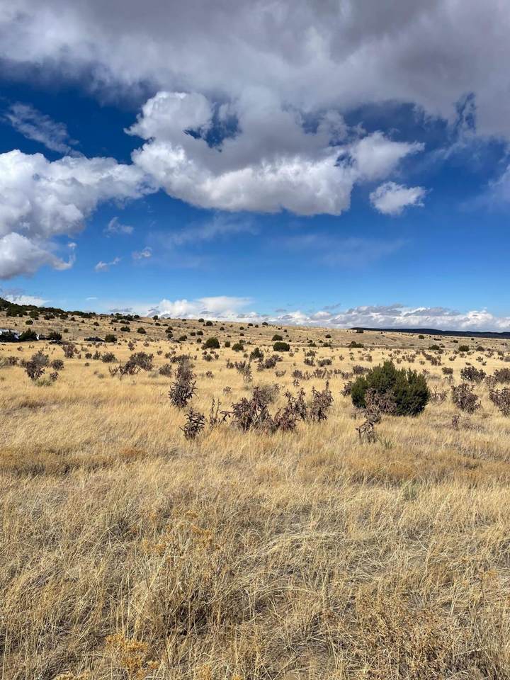 TBD County Road 40 - Photo 1