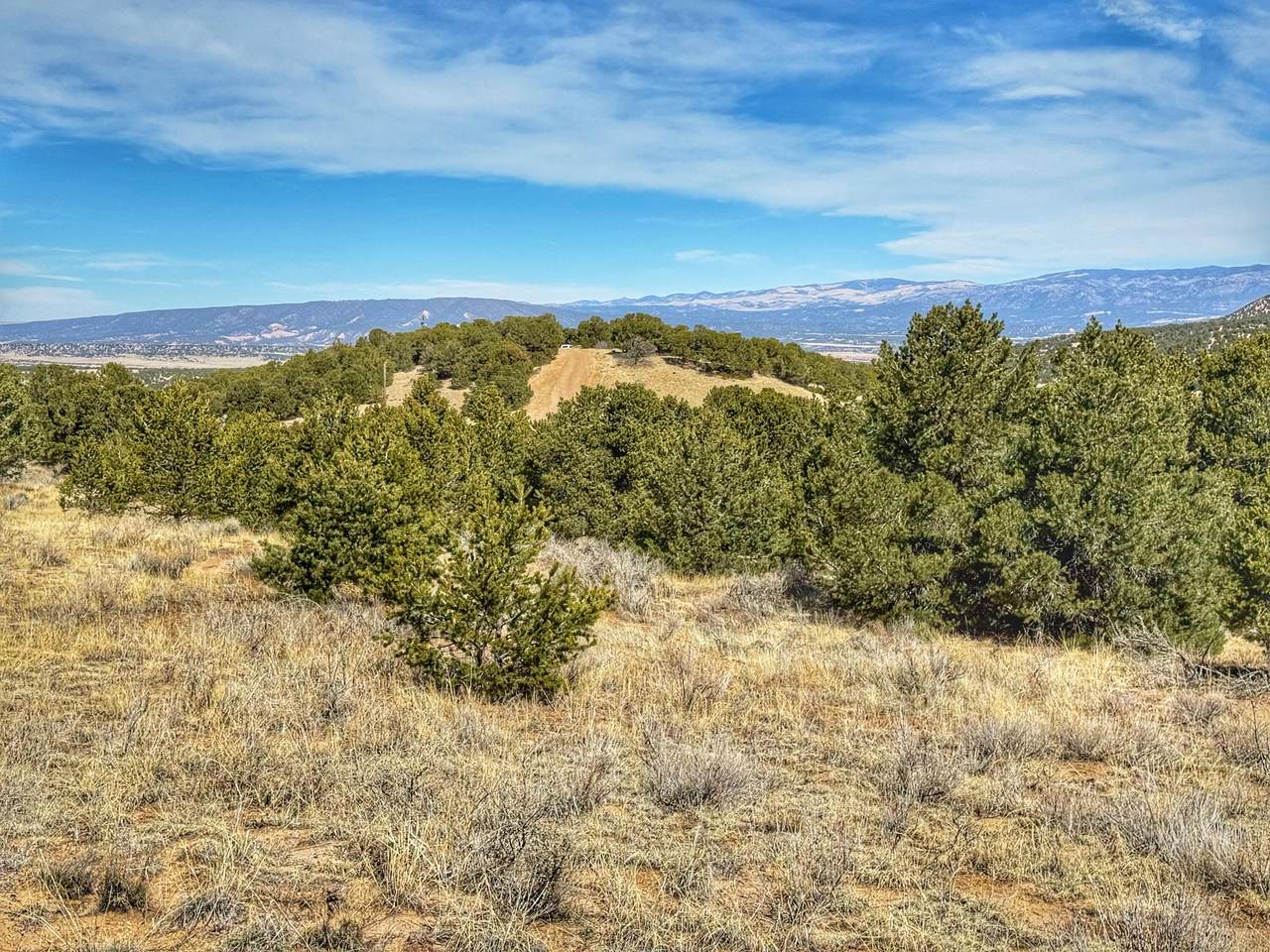 TBD Country Road 572 - Photo 1