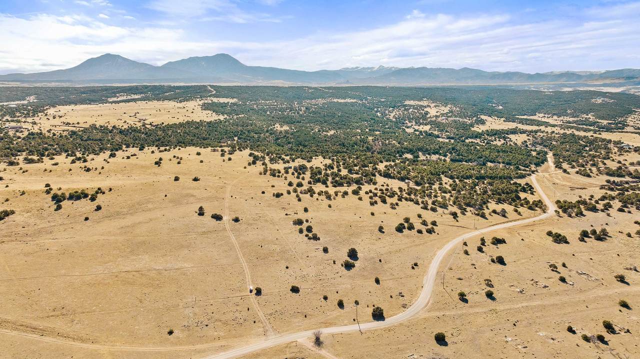 TBD County Road 521 - Photo 1