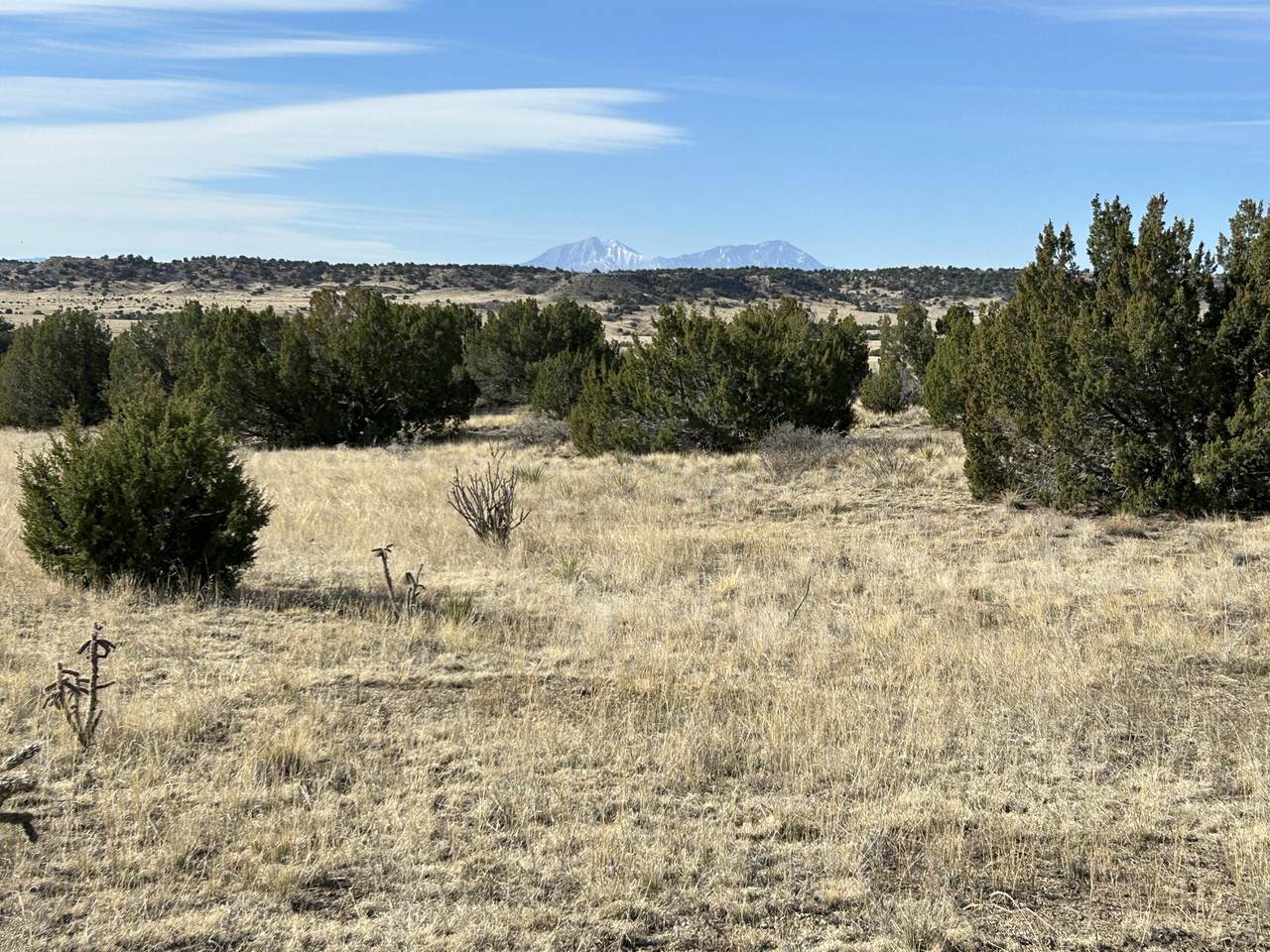 Lot 122 Ghost River Ranch - Photo 1