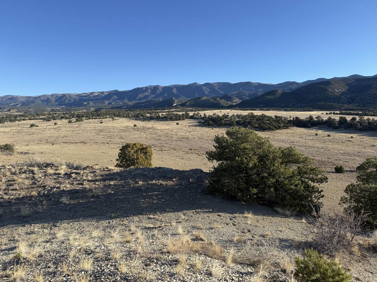 22 Turkey Creek Ranches - Photo 1