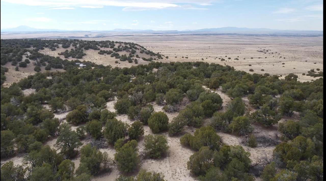 43984 Taos Trail - Photo 1