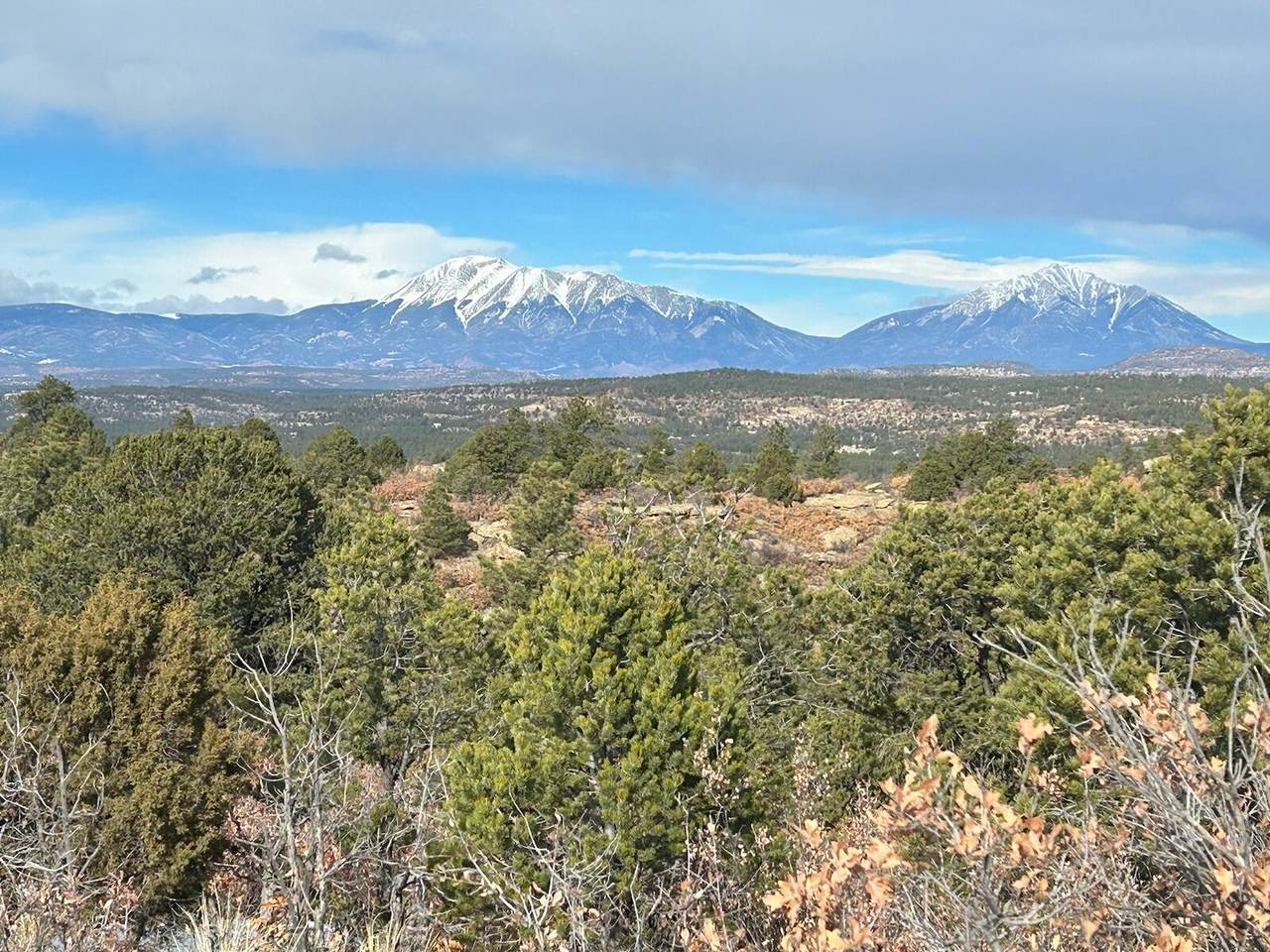  Primero Ranch Road - Photo 1