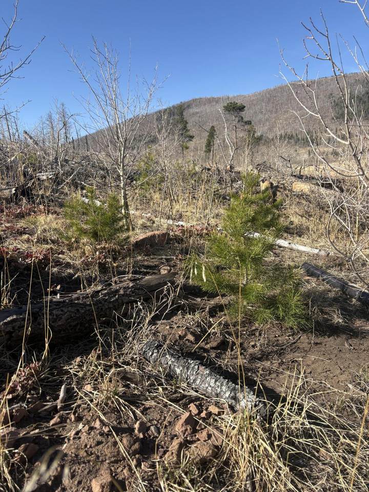 https://bt-photos.global.ssl.fastly.net/spanishpeaks/1280_boomver_1_26-259-2.jpg