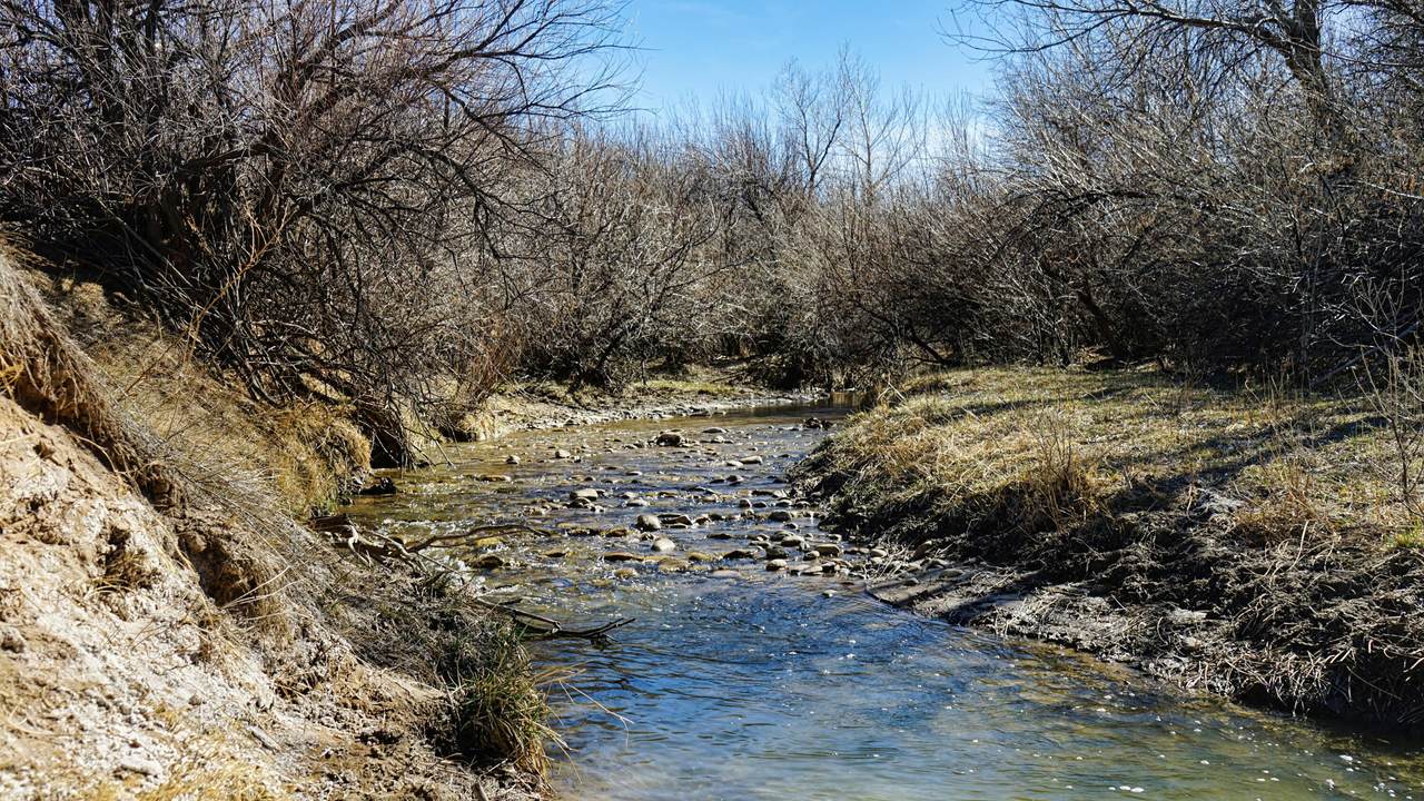 161 Colorado Land & Livestock - Photo 1