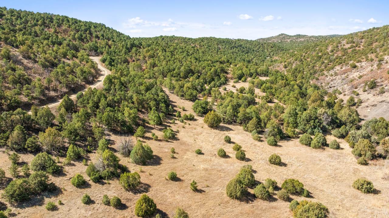 TBD Powell Canyon Dr. - Photo 1