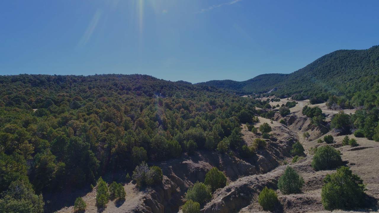 TBD Lower Mine Road - Photo 1
