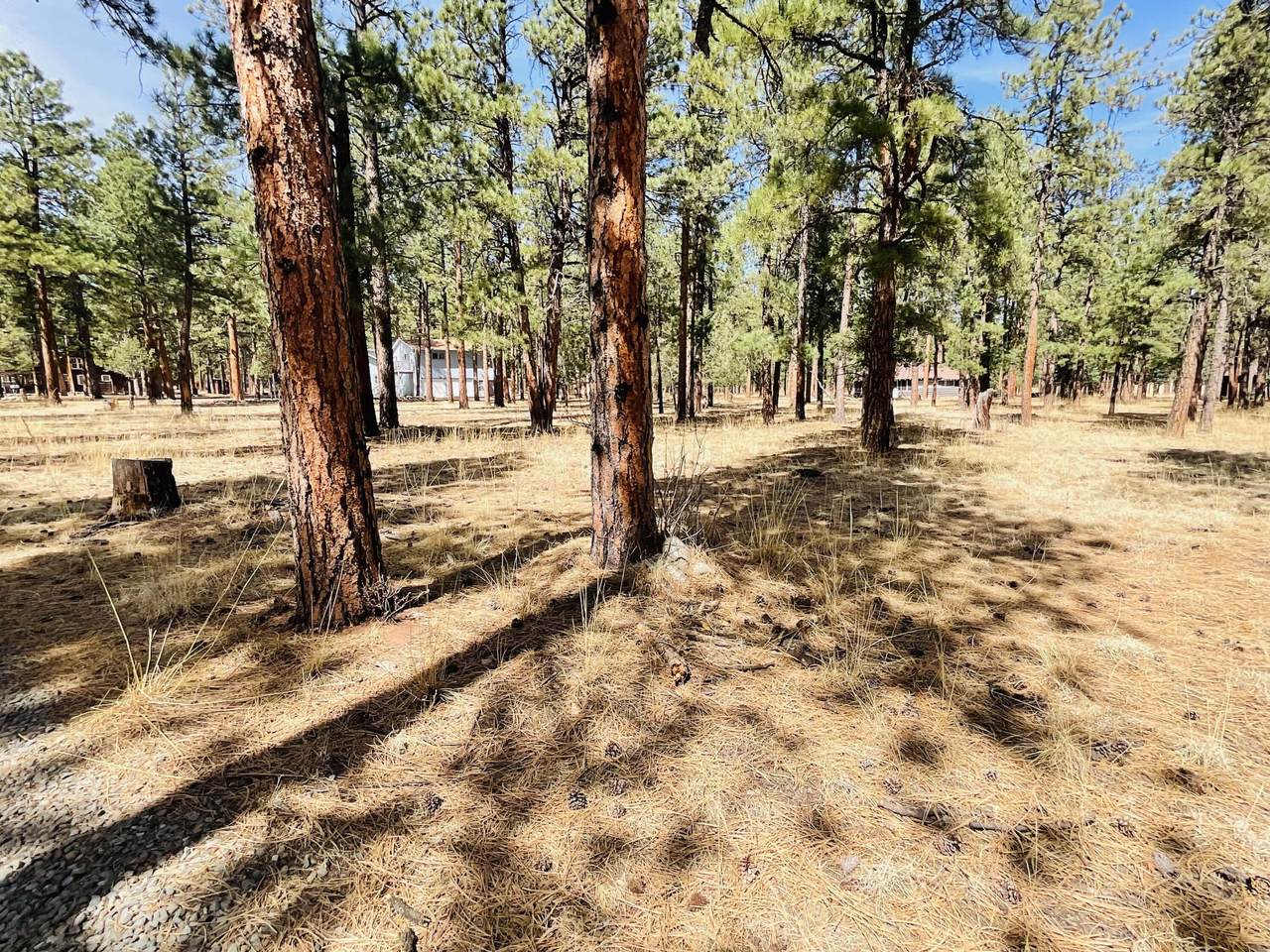 https://bt-photos.global.ssl.fastly.net/spanishpeaks/1280_boomver_1_26-305-2.jpg