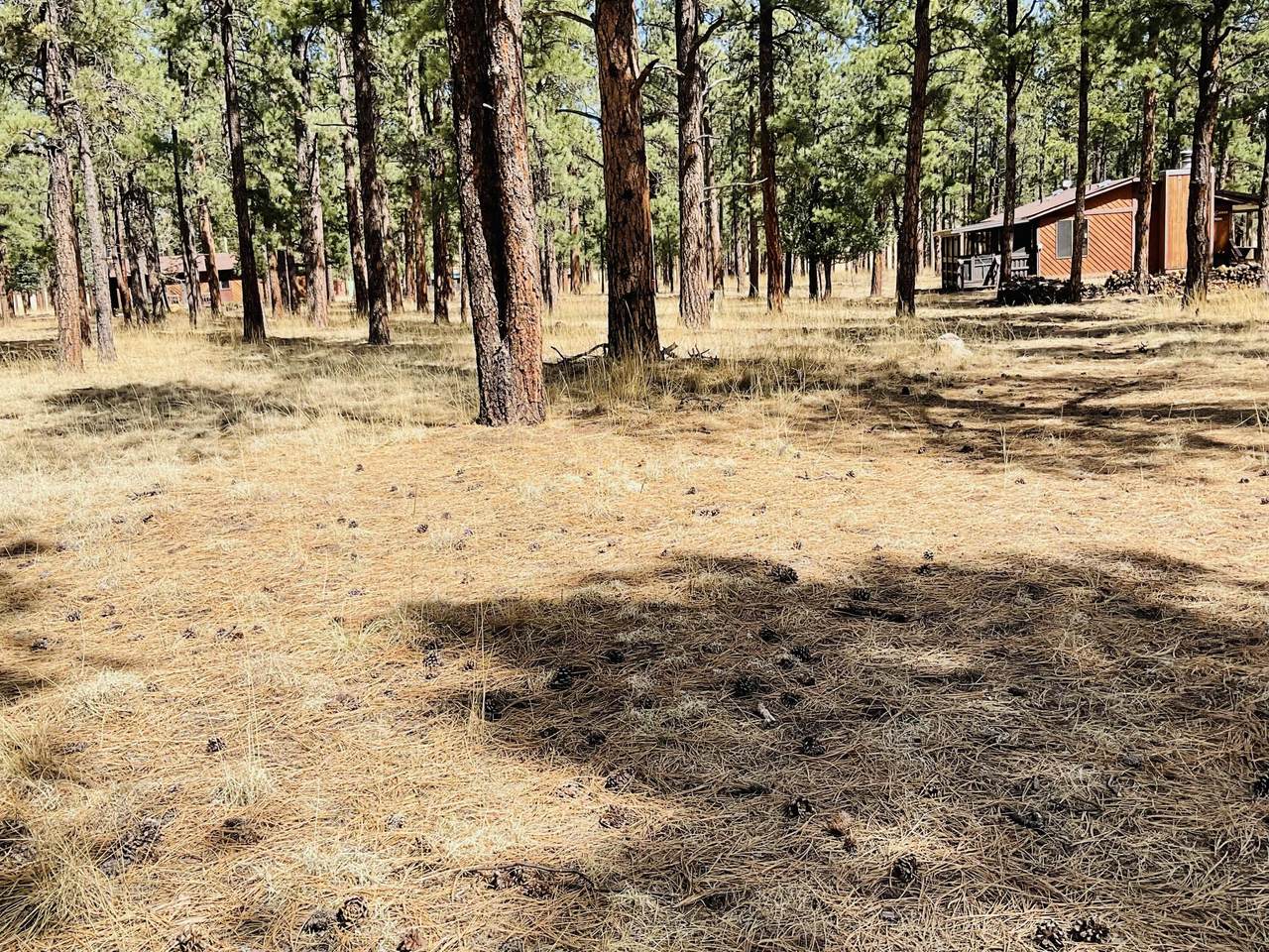 https://bt-photos.global.ssl.fastly.net/spanishpeaks/1280_boomver_1_26-305-2.jpg