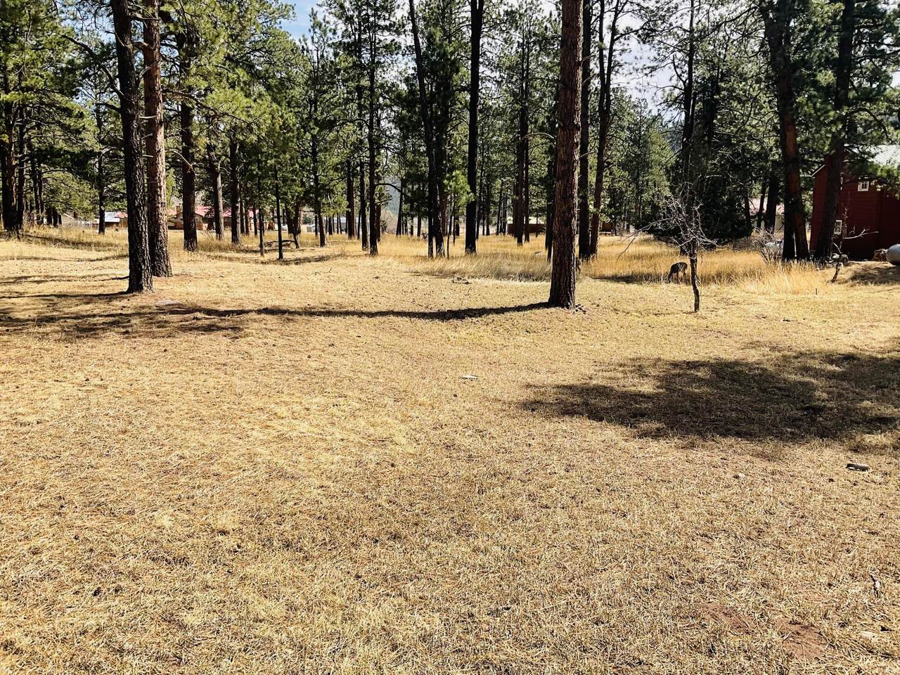 https://bt-photos.global.ssl.fastly.net/spanishpeaks/1280_boomver_1_26-306-2.jpg