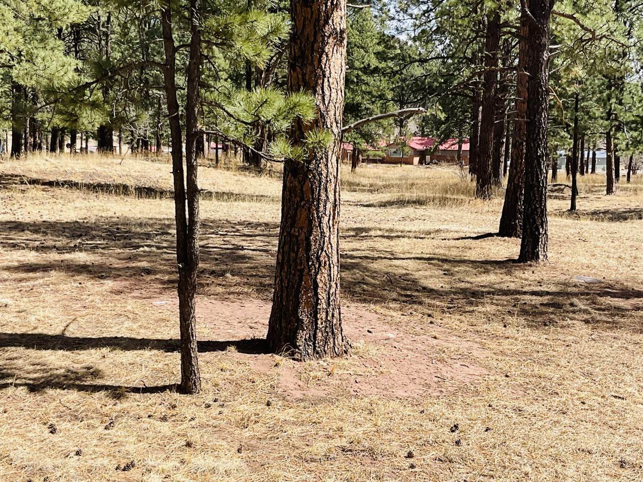 https://bt-photos.global.ssl.fastly.net/spanishpeaks/1280_boomver_1_26-306-2.jpg