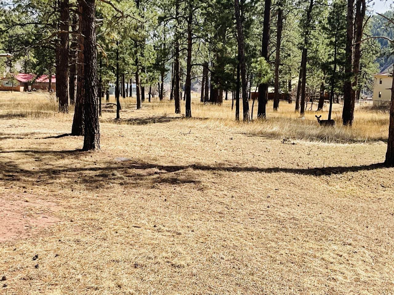 https://bt-photos.global.ssl.fastly.net/spanishpeaks/1280_boomver_1_26-306-2.jpg