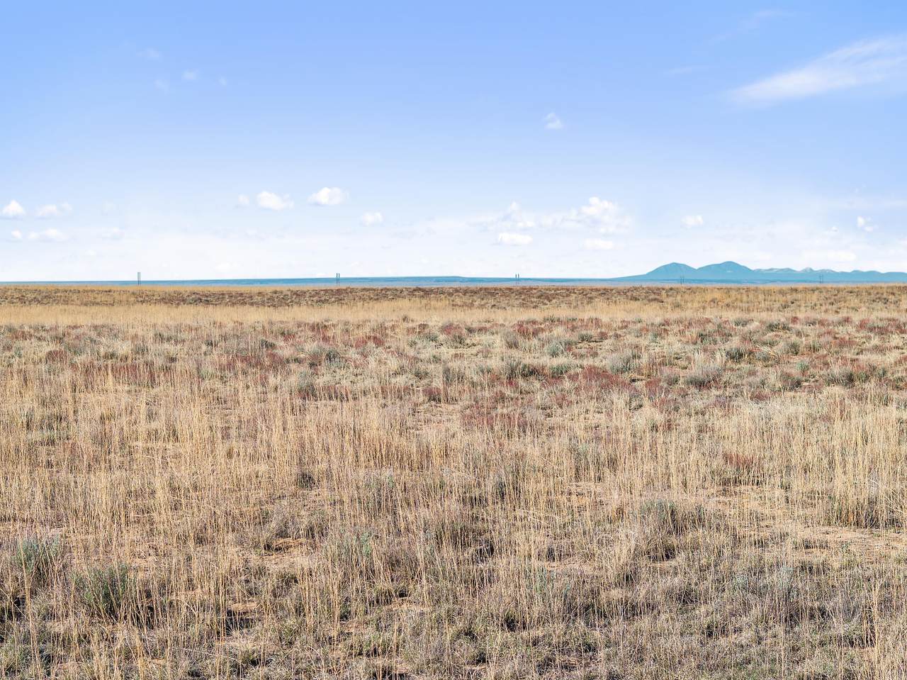 TBD County Lane 1 - Photo 1
