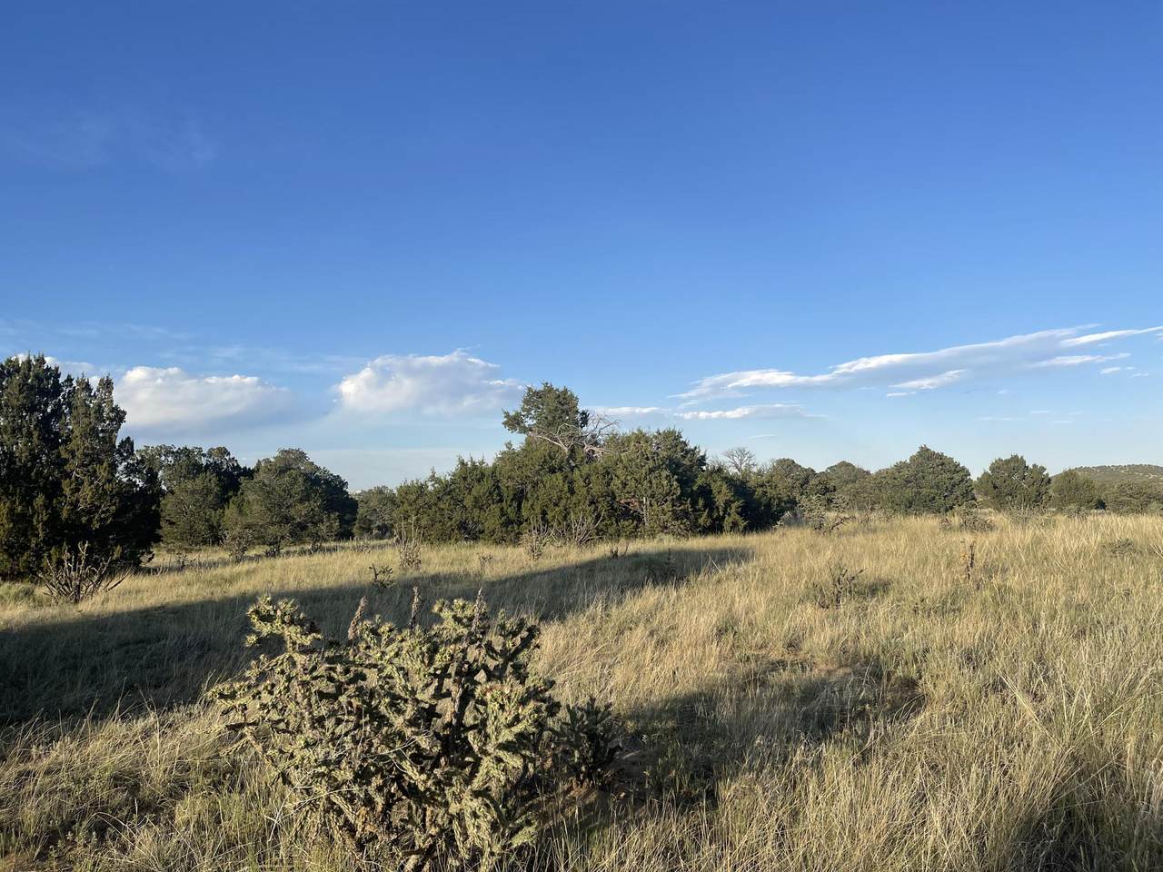 https://bt-photos.global.ssl.fastly.net/spanishpeaks/1280_boomver_1_26-353-2.jpg