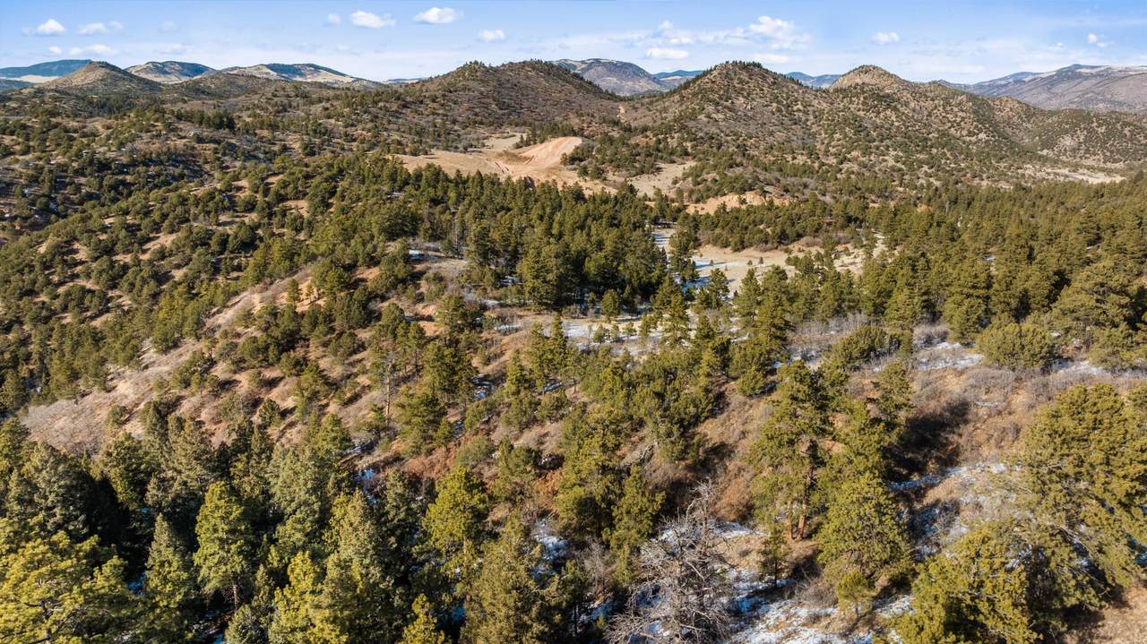 TBD Tallahassee Trail - Photo 1